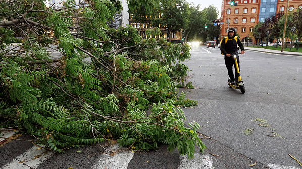 Источник фото: 