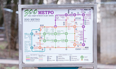 В Ростове-на-Дону заработало метро. Пока что только в зоопарке