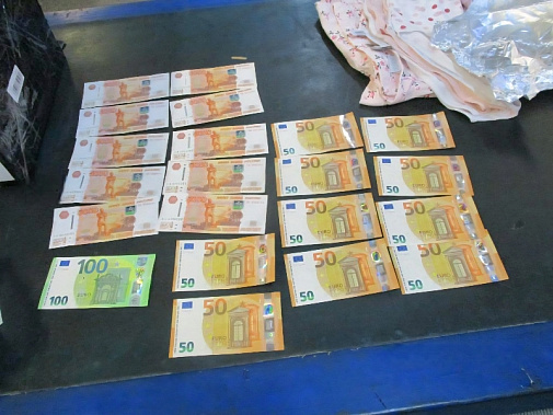 Зимбу не проведешь: служебная собака обнаружила посылку из Германии для ростовчанина  с крупной суммой