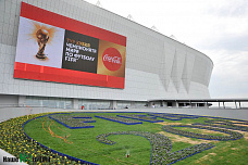 Кубок мира гостит на Дону