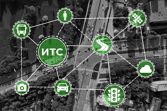 Инфографика: digital.avo.ru