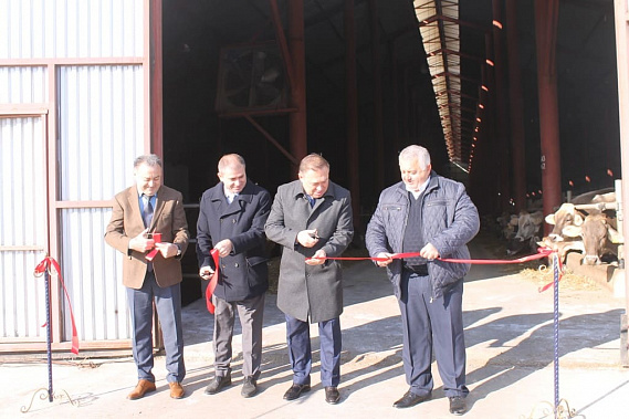 Сегодня в Мясниковском районе торжественно открыли новую молочно-товарную ферму на 800 голов
