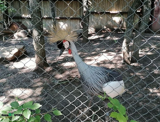 ЮЖНЫЙ ПАРК ПТИЦ «МАЛИНКИ»