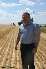 Колос Верхнего Дона