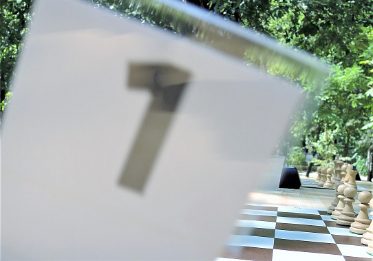 Ростовский клуб «Мудрые короли» начнет лето парковыми шахматами