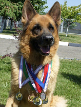 Светлана Кожевникова: «Мой друг - Воланд!»