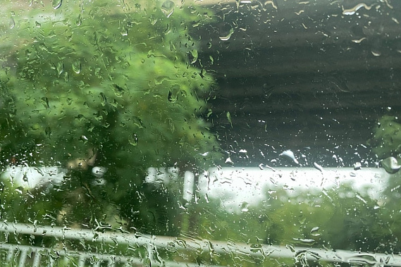 Источник фото: rostov.mk.ru