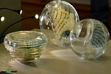 В Ростове-на-Дону открылась художественная выставка "Путешествие домой" 