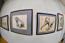 31 01 2026 Областной музей изобразительных искусств зовет в мир животных