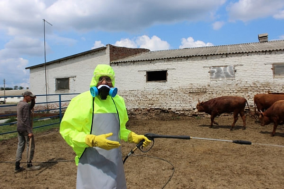 Фото пресс-службы Ростовской областной станции по борьбе с болезнями животных
