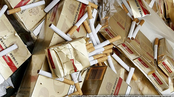 Источник фото: zebra-tv.ru. 