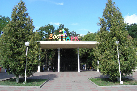 Ростовский зоопарк вернули в Евроазиатскую ассоциацию
