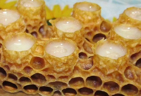 Пчелы подарили биостимулятор