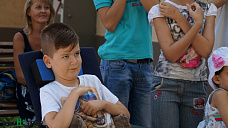 Круглый год добра