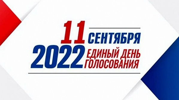Стали известны предварительные итоги муниципальных выборов на Дону