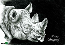 Звери на грани