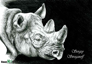 Звери на грани