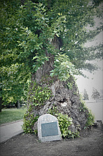 Путешествие в столицу детского туризма