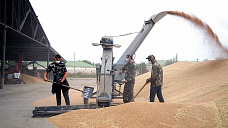 В Октябрьском (с.) районе уборку урожая ведут наперегонки  с дождем