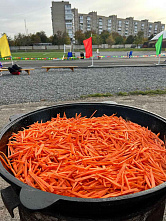 В Новочеркасске прошла Спартакиада диаспор и землячеств