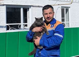 Подвиг Марфы: кошка на пожаре спасла людей и котят