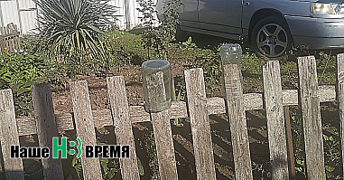 Наш цитатник XX