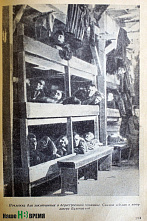 Люди мира, на минуту встаньте!