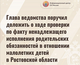 В Красном Сулине обнаружены малолетние дети без присмотра