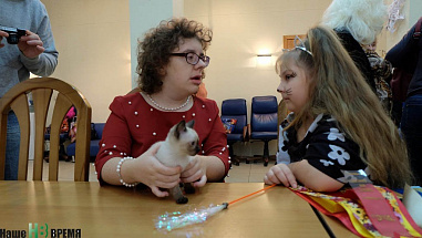 Как кошки-крошки на елку ходили