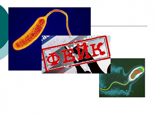 Все сообщения на тему холеры на Дону являются спекуляциями