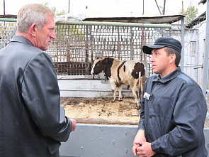 Долгожданная встреча_6195