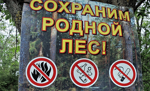 На пожарах в донском регионе спасли 25 человек