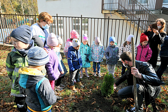 Как малыши из ростовских детсадов помогают природе и животным