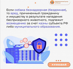 10 11 2024 Как добиться возмещения вреда в результате нападения собаки