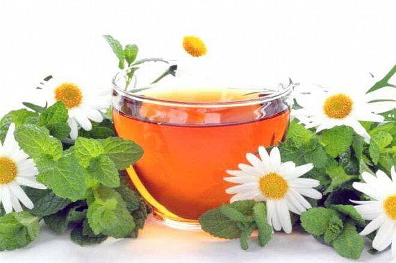 Самодельные фитопрепараты могут быть опасны