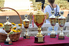 Скачки на Кубок губернатора