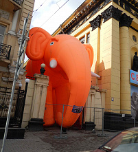 Гуляю и снимаю