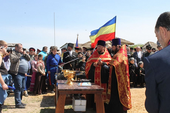Шермиции в Кумженской роще