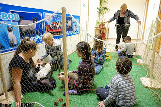 Как кошки-крошки в редакции работали