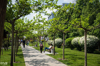 В Ростове расскажут, как превратить города в цветущие оазисы