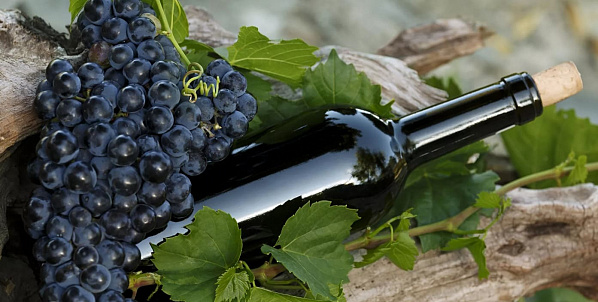 "Вино России" как новое понятие