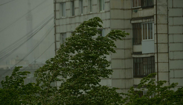 Фото: oblgazeta.ru