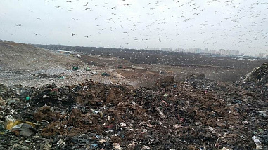 Квадратура круга мусорной реформы