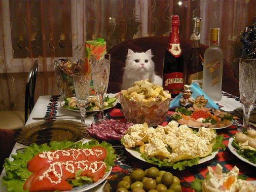 Чтобы не бояться встать на весы