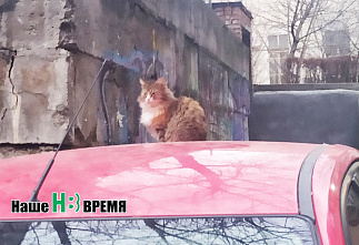 Наш цитатник XXVIII