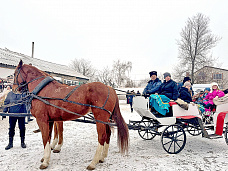 27 01 2026 В Год лошади в конном взводе не будет скучно!