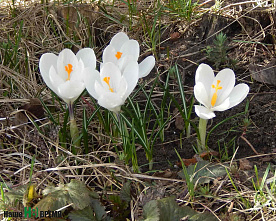 Погуляем, поснимаем - 3