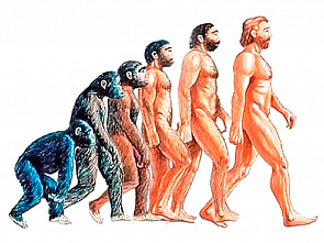 Что можно отметить в этот день