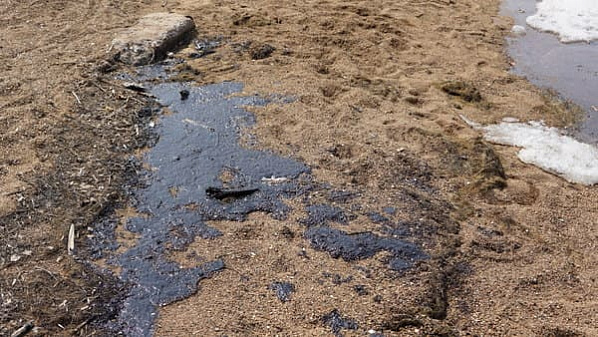 Фото сайта vladnews.ru