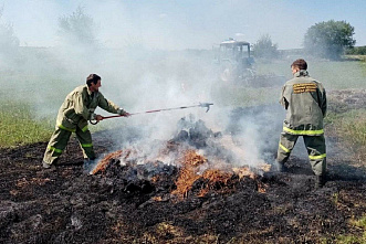 Пожар в Зимовниковском лесничестве ликвидирован